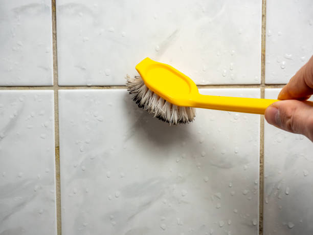 Best Post-Remediation Services in Tornillo, TX