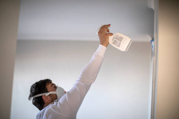 Best Residential Mold Remediation in Tornillo, TX