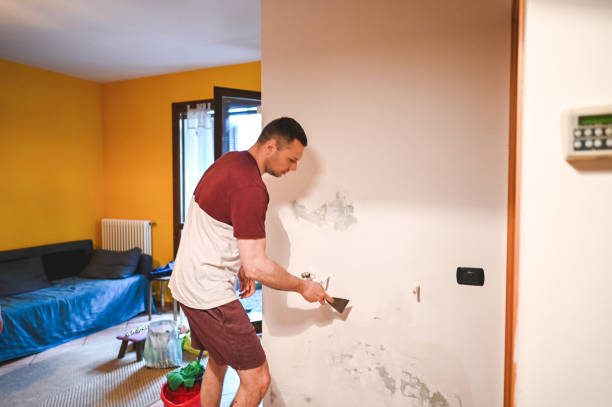 Best Emergency Mold Remediation in Tornillo, TX